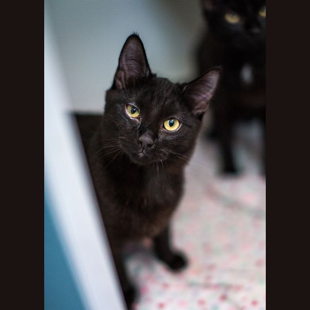 Photo of Esther