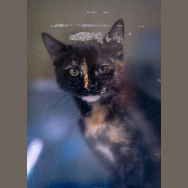 Photo of Prue