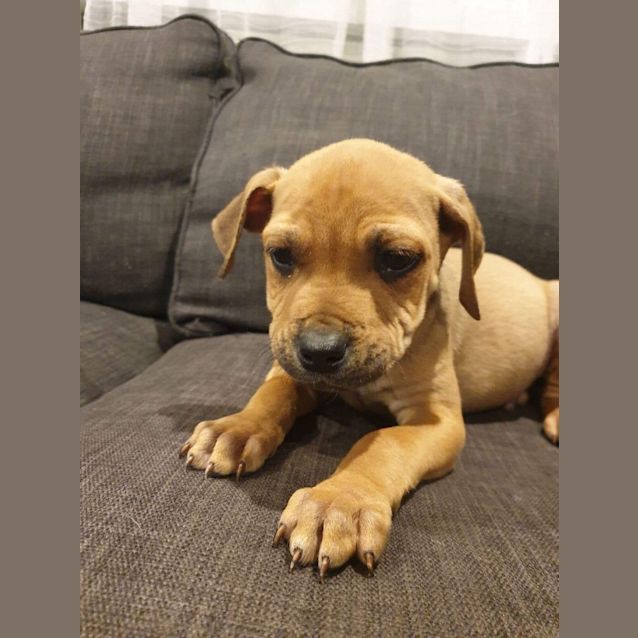 Photo of Murphy 