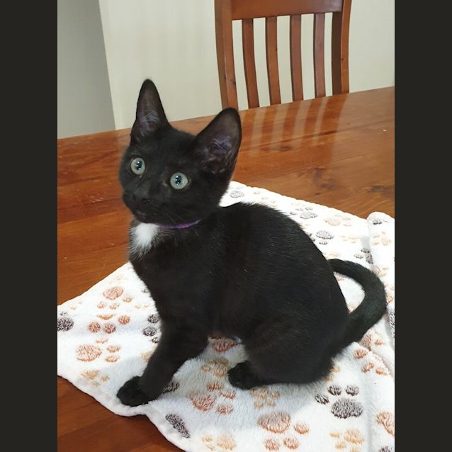 Photo of Truffle 