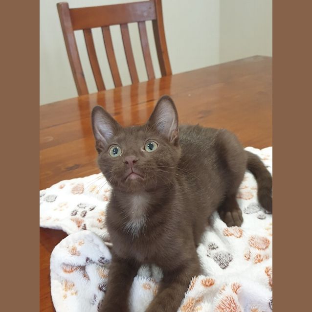 Photo of Ferrero 