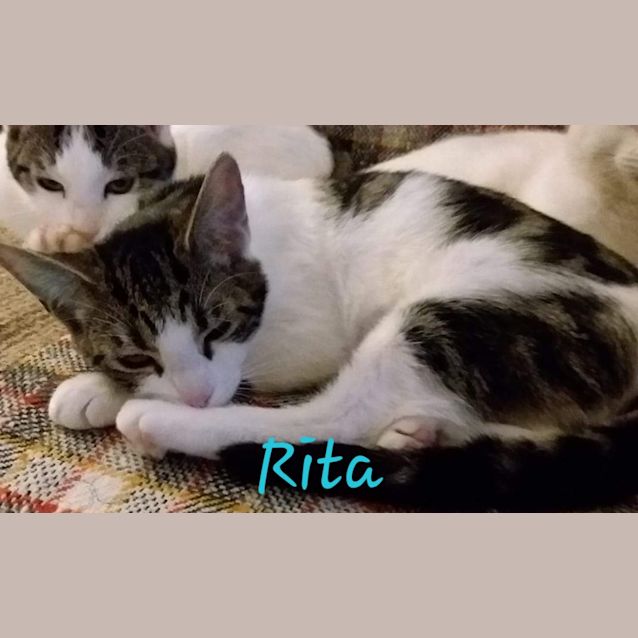 Photo of Rita