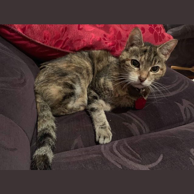 Photo of Hetty 