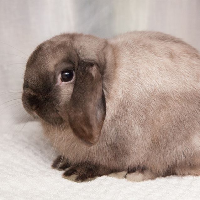 Photo of Cloud