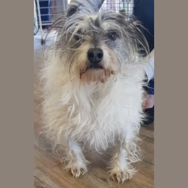 Photo of Otis