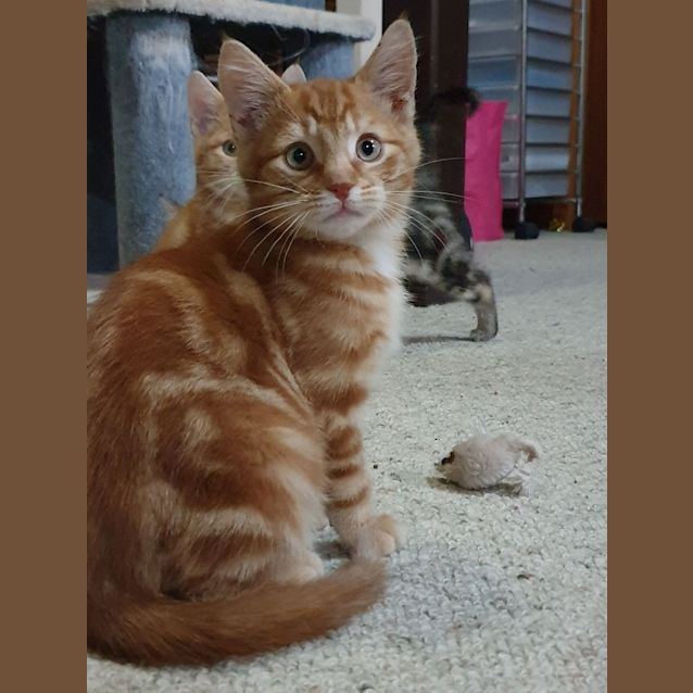Photo of Natsu