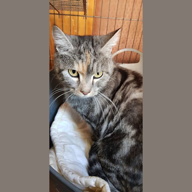 Photo of Sylvie