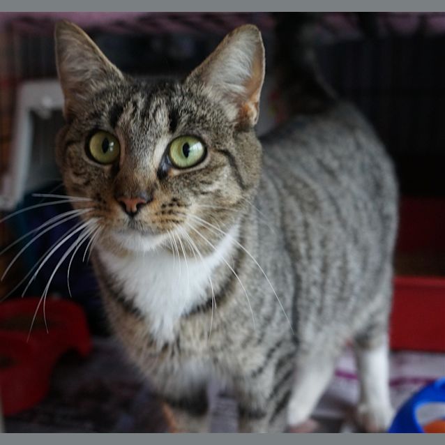 Photo of Betsy