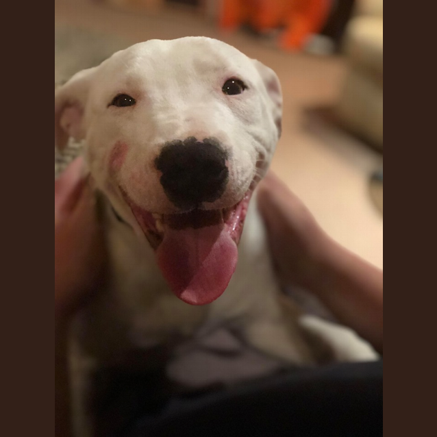 Photo of Kino