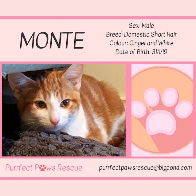 Photo of Monte