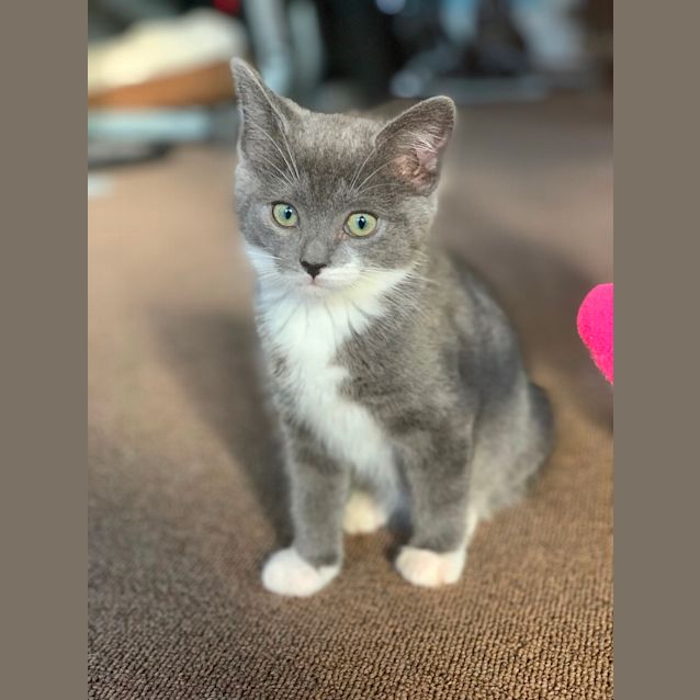 Photo of Aurora 🍬