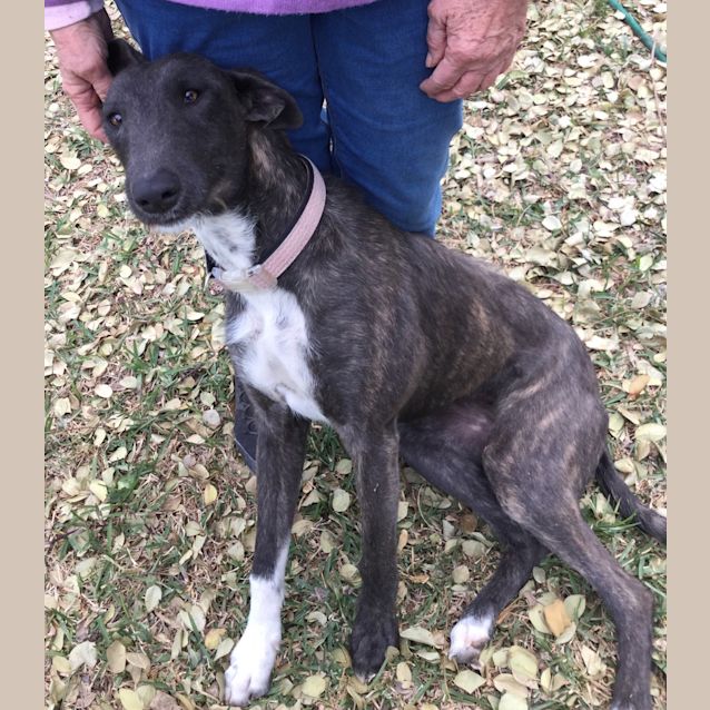 Photo of Billie Bean