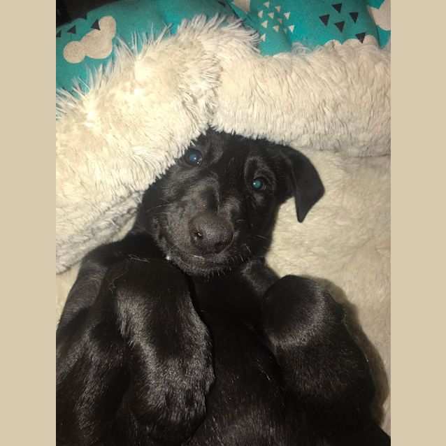 Photo of Elora