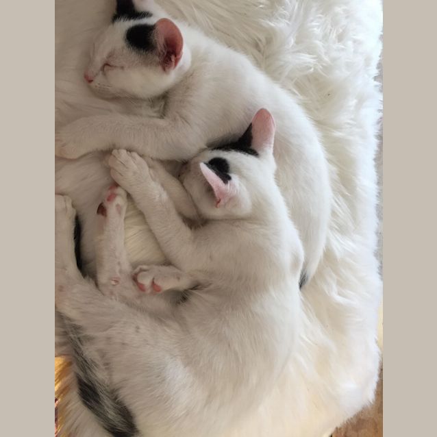 Photo of Gucci And Louis