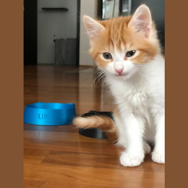 Photo of Stella And Theon