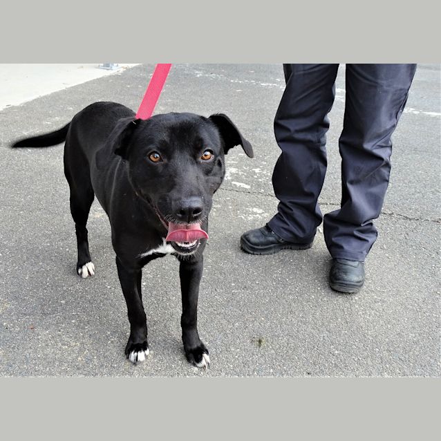 Photo of Bessie