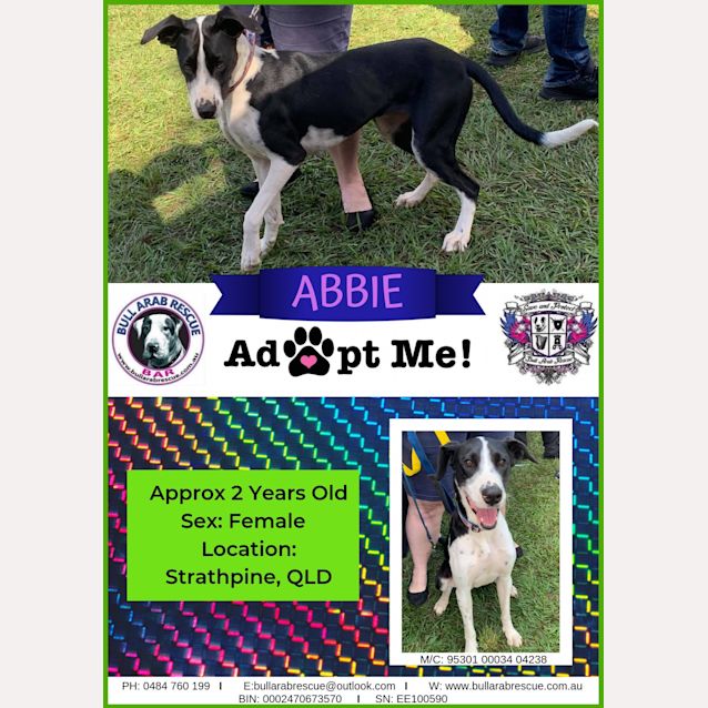 Photo of Abbie