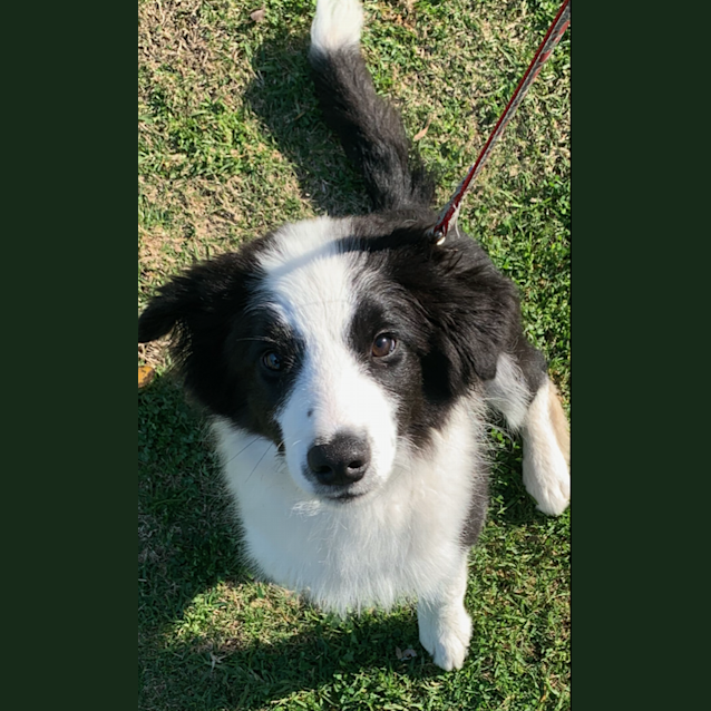 Photo of Murphy