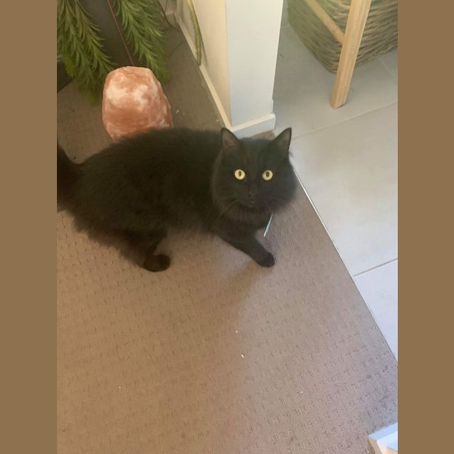 Photo of Jax