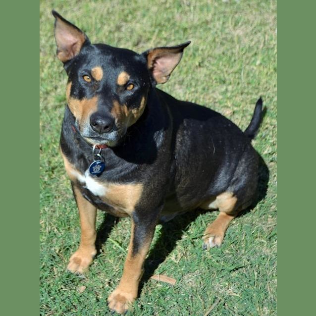Photo of Winston