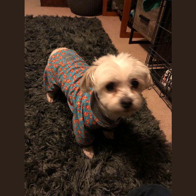 Photo of Bellaboo