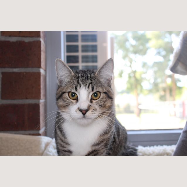 Photo of Boots