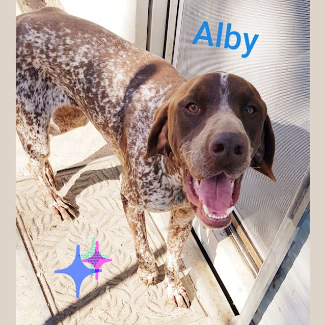 Photo of Alby (1642019)