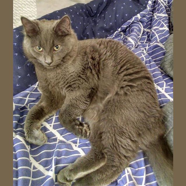 Photo of Gala