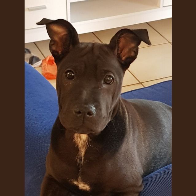 Photo of Thelma