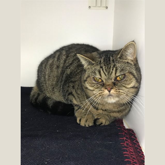 Photo of Fergus