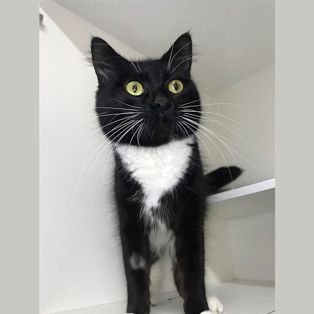Photo of Persephone