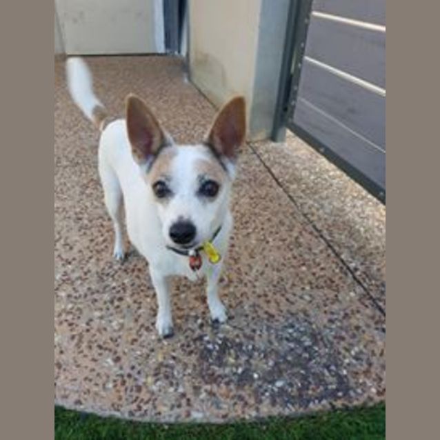 Photo of Sailor D0031