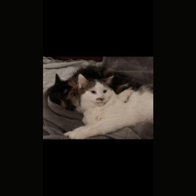 Photo of Oscar And Ruby