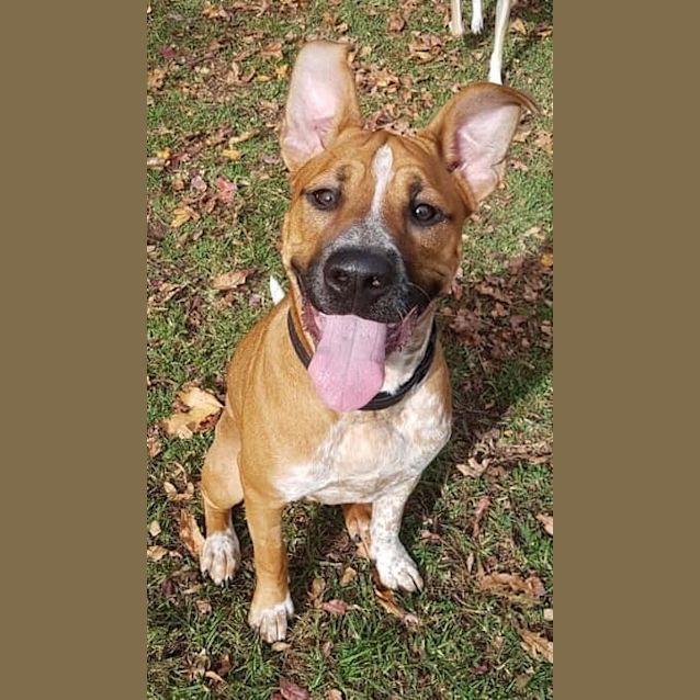 Photo of Missie