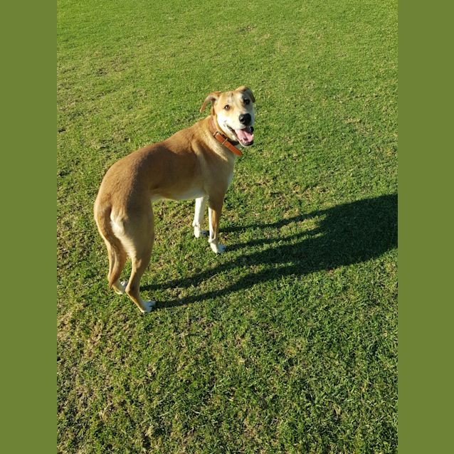 Photo of Oskar