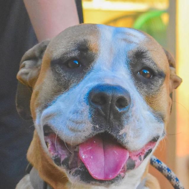 Photo of Axle