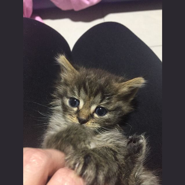 Photo of Kammie