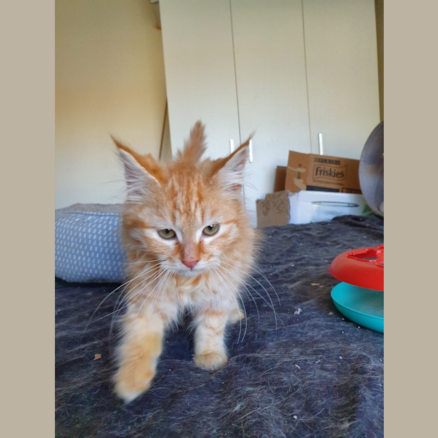 Photo of Ralph