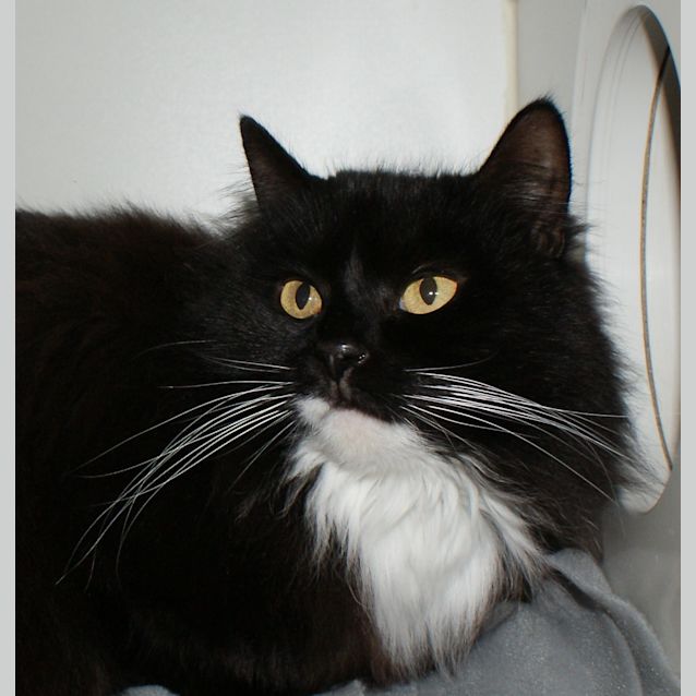 Photo of Melody Sta004022