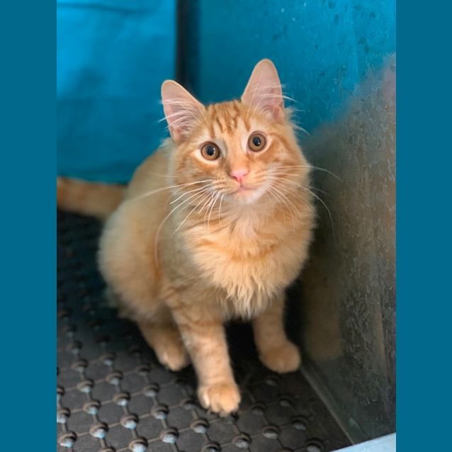 Photo of George 🌞