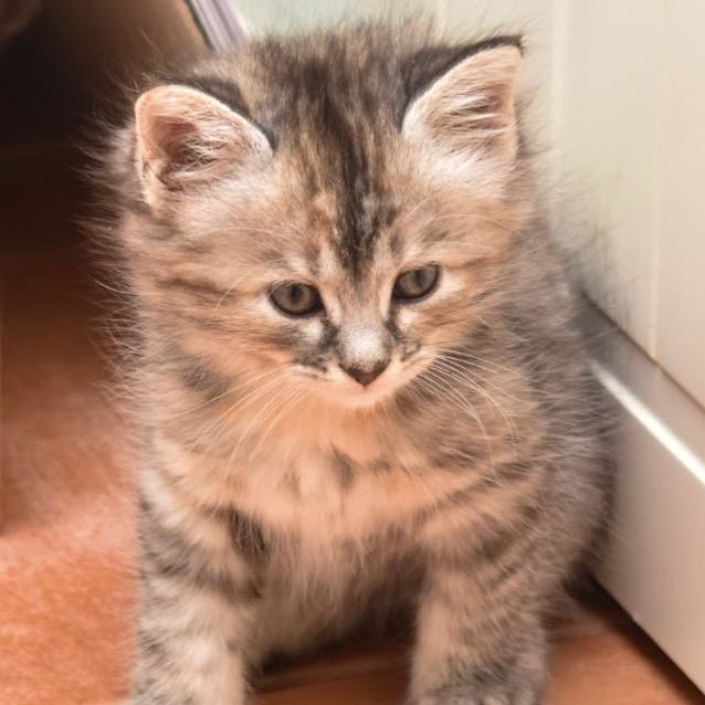Photo of Ella