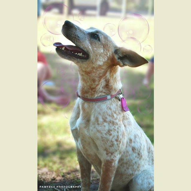 Photo of Luna