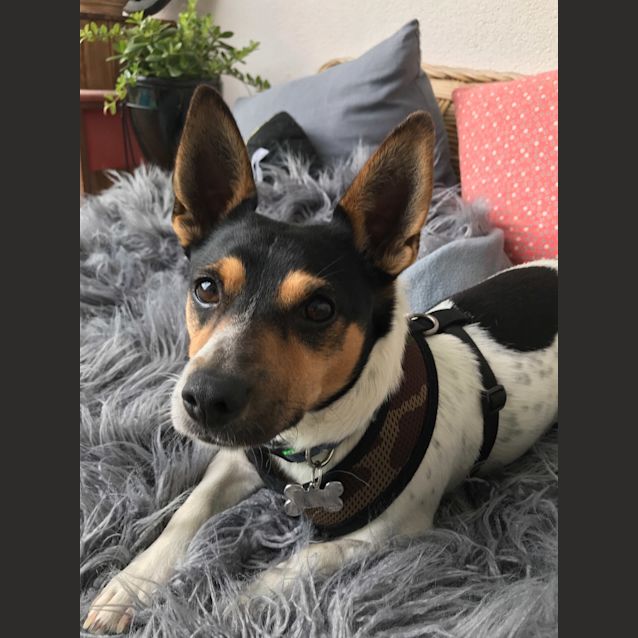 Photo of Freddie