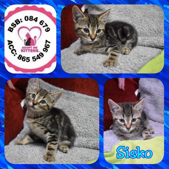 Photo of Sisko