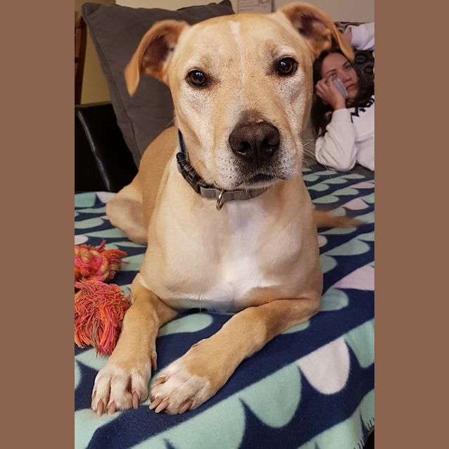 Photo of Thor