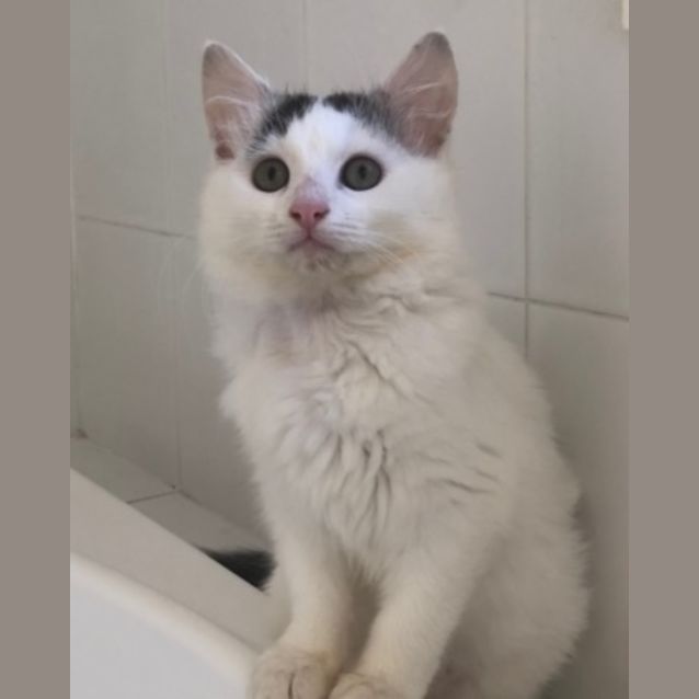 Photo of Polar