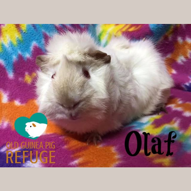 Photo of Olaf