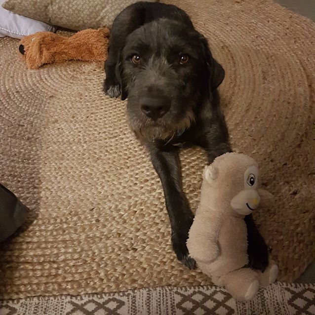Photo of Zelda 
