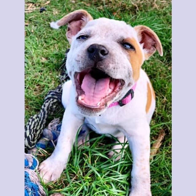 Photo of Sally