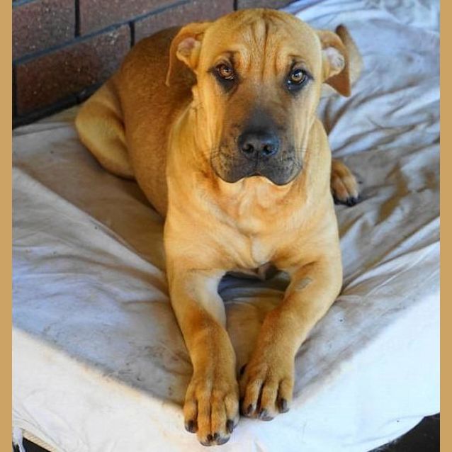 Photo of Winnie